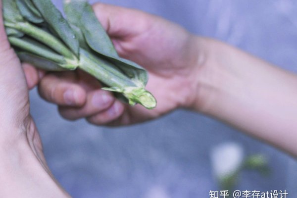 如何将创意转化为商业价值