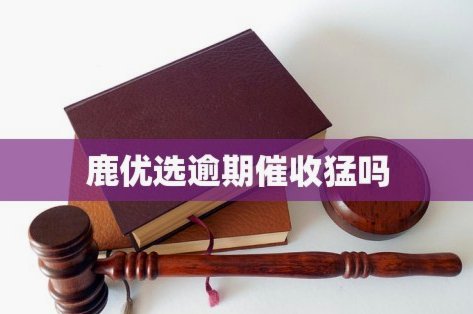 鹿优选网贷背后的金融大亨：鹿优金融深度解析
