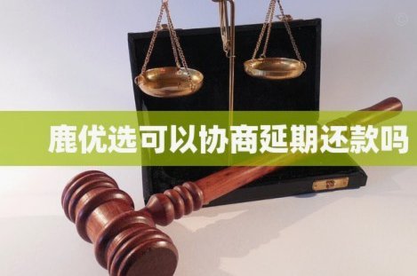 鹿优选网贷是哪个公司