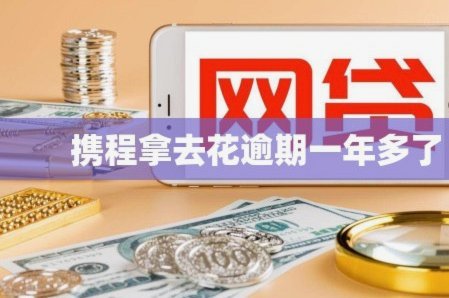 携程拿去花可以买哪些东西