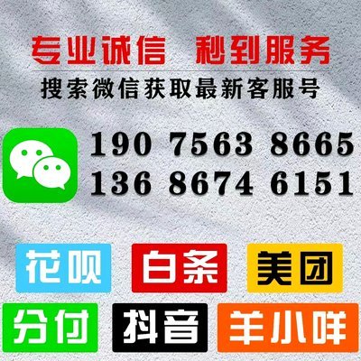 羊小咩一次性还款策略解析