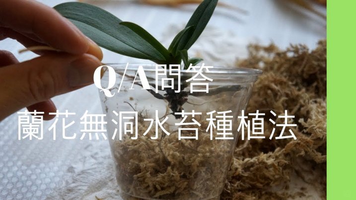 找钱花多种取现方法解析