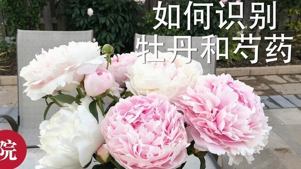 花呗分期套现陷阱：高热度背后的风险和真相