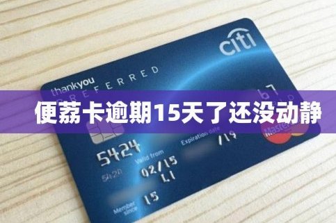 便荔卡包享花卡能套现吗