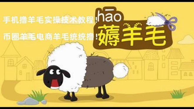羊小咩是哪里发货