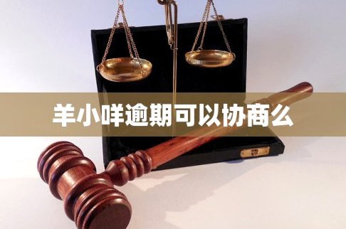 羊小咩怎么样借钱