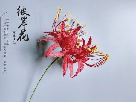 2021信贷陷阱：低门槛高风险