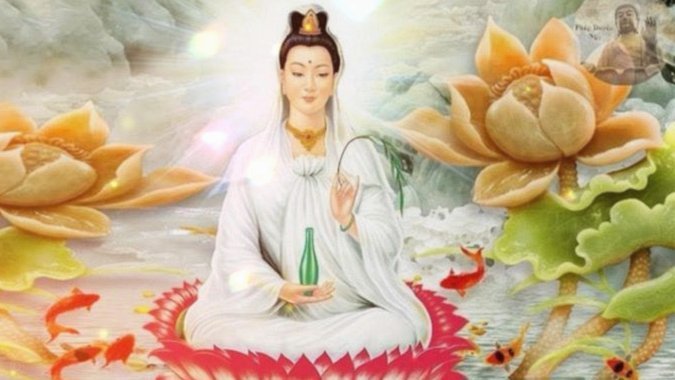 海鸥花呗是个什么平台