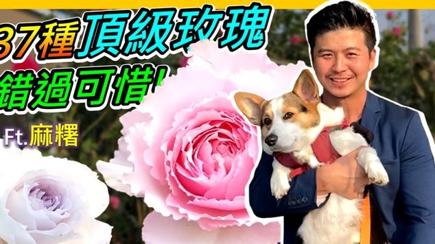 拿去花2021年套现大揭秘