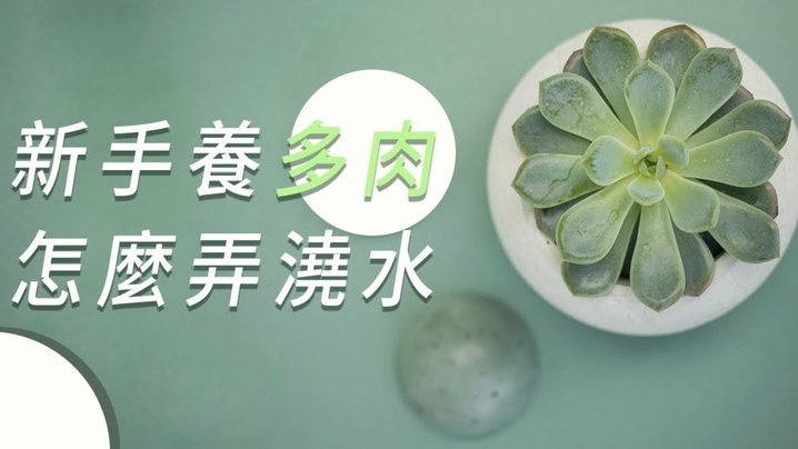 有限资金如何花？