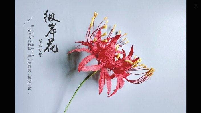 拿去花现在可以怎么套