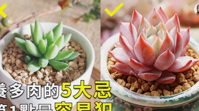 花呗花呗利息怎么算的