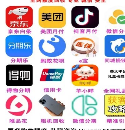 分期乐怎么看不到总额度