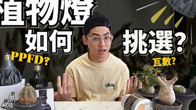 京东白条套现风险：别被“秒到账”骗了！