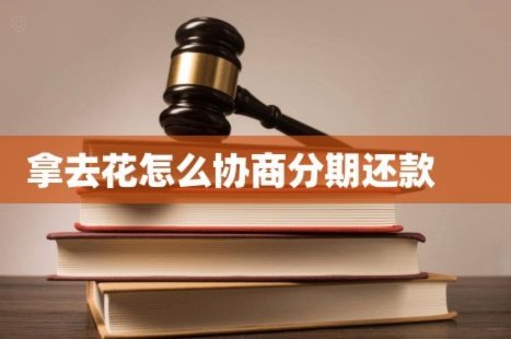 拿去花怎么全部还款