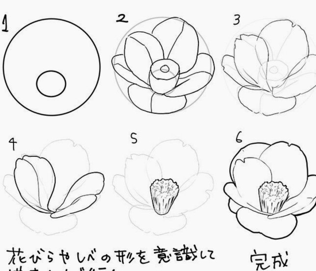 花呗正确的套取方式总结了三个方法