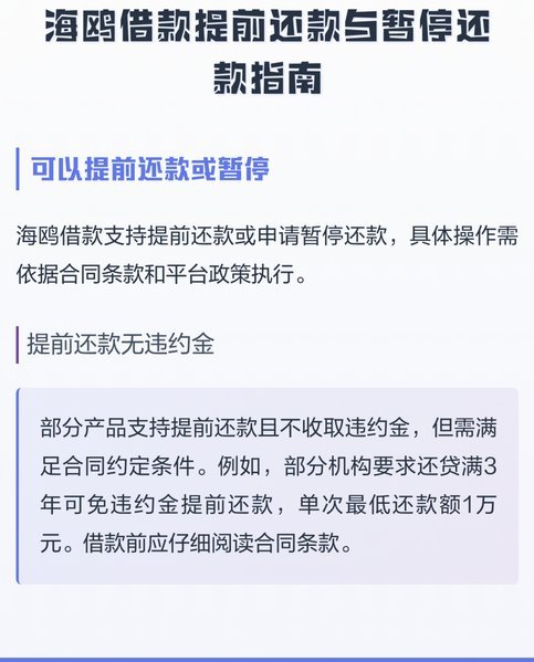 海鸥平台借款怎么处理