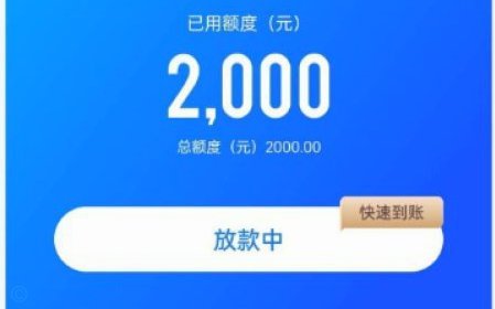 鹿优选借款详情