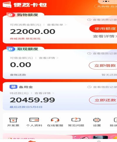 羊小咩怎么借钱