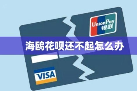 海鸥花呗平台 怎么样可靠吗