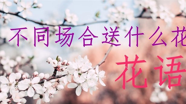 花呗秒套平台有哪些 取现功能