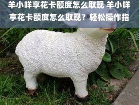 羊小咩取现额度为什么不能提现