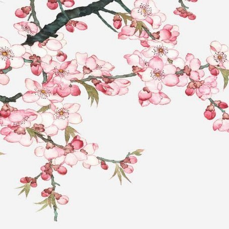 桃花多多多