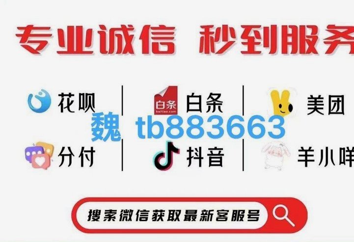 巧用羊小咩购物额度省心省钱攻略