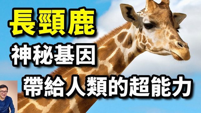 鹿优选取提车时间受哪些因素影响？