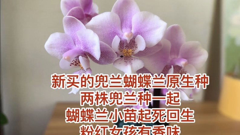 聪明理财：如何高效利用每一笔开支