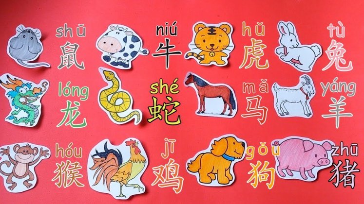 羊小咩贷款征信记录影响大吗