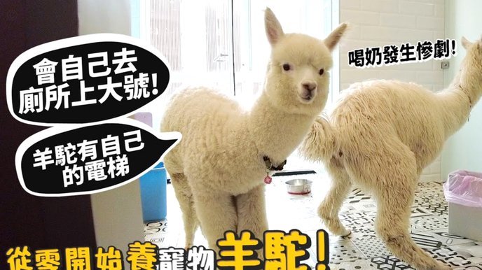 便荔卡取现额度变动指南