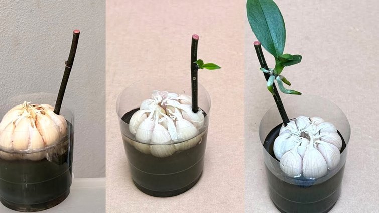 携程拿去花怎么调整额度