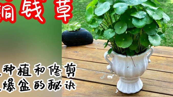 花呗取现有风险？