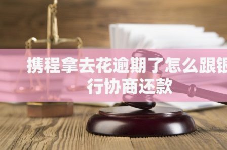 如何关闭携程拿去花自动还款功能？