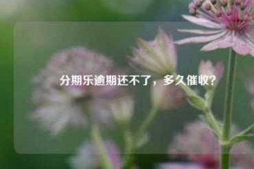 分期乐借款有额度为何总借不到钱？