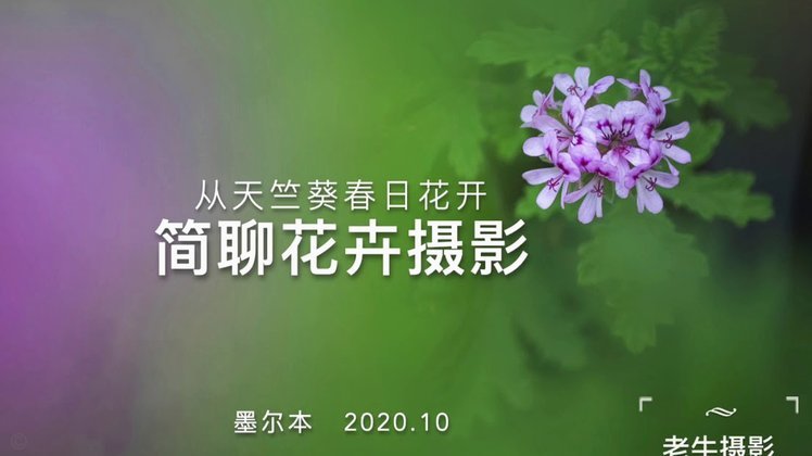 花呗出不来了怎么办？