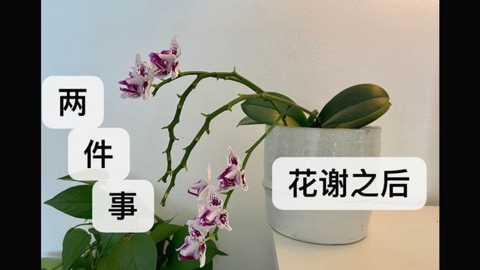 套现花呗需要手续费吗多少