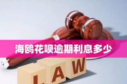 海鸥贷：网贷还是信贷？