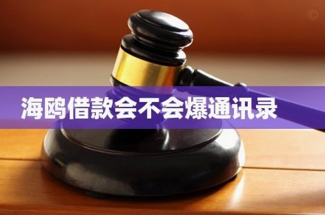 海鸥贷属于网贷还是信贷