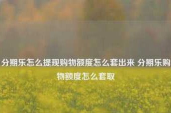 得物取现